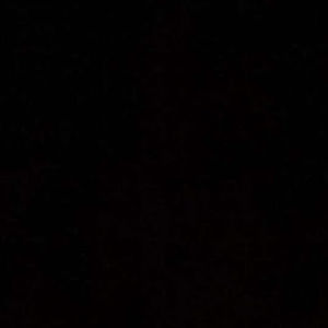 Meet your Posher, Elina